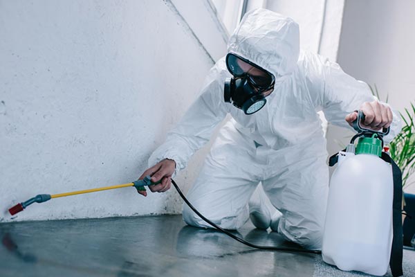 Pest-Control-Service-Industry